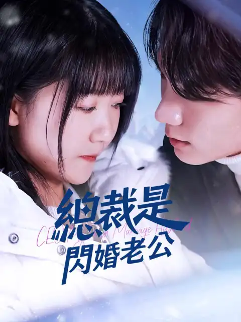 總裁是閃婚老公